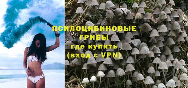 соль ск Алзамай