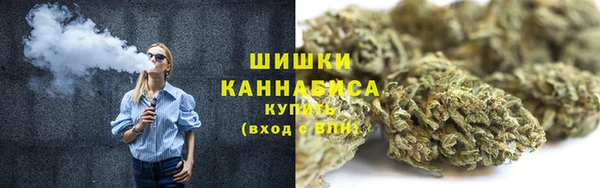 соль ск Алзамай