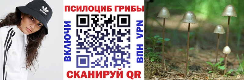 Галлюциногенные грибы мухоморы  купить   Куровское 